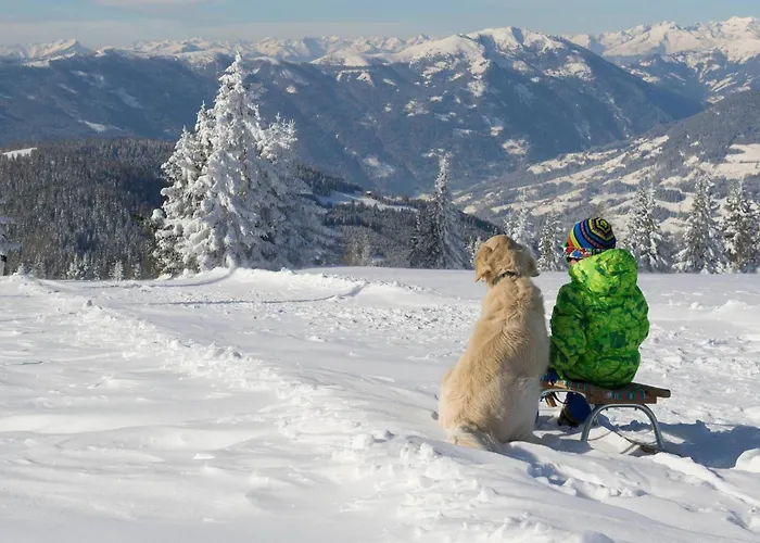 In Gerlitzen With Panoramic Views * Deutschberg